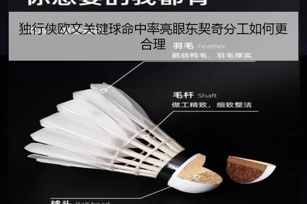 独行侠欧文关键球命中率亮眼东契奇分工如何更合理 | kaiyun