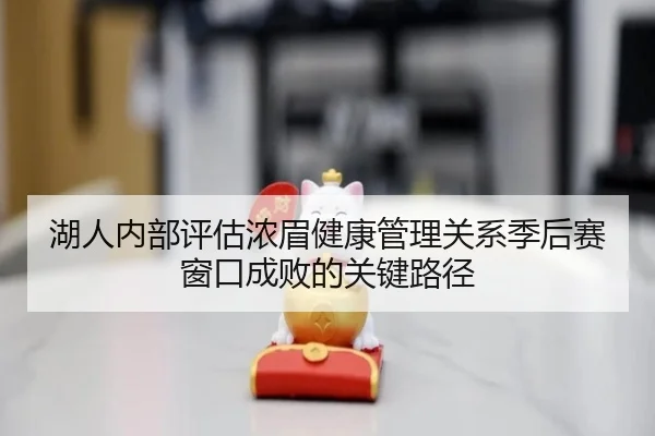 湖人内部评估浓眉健康管理关系季后赛窗口成败的关键路径